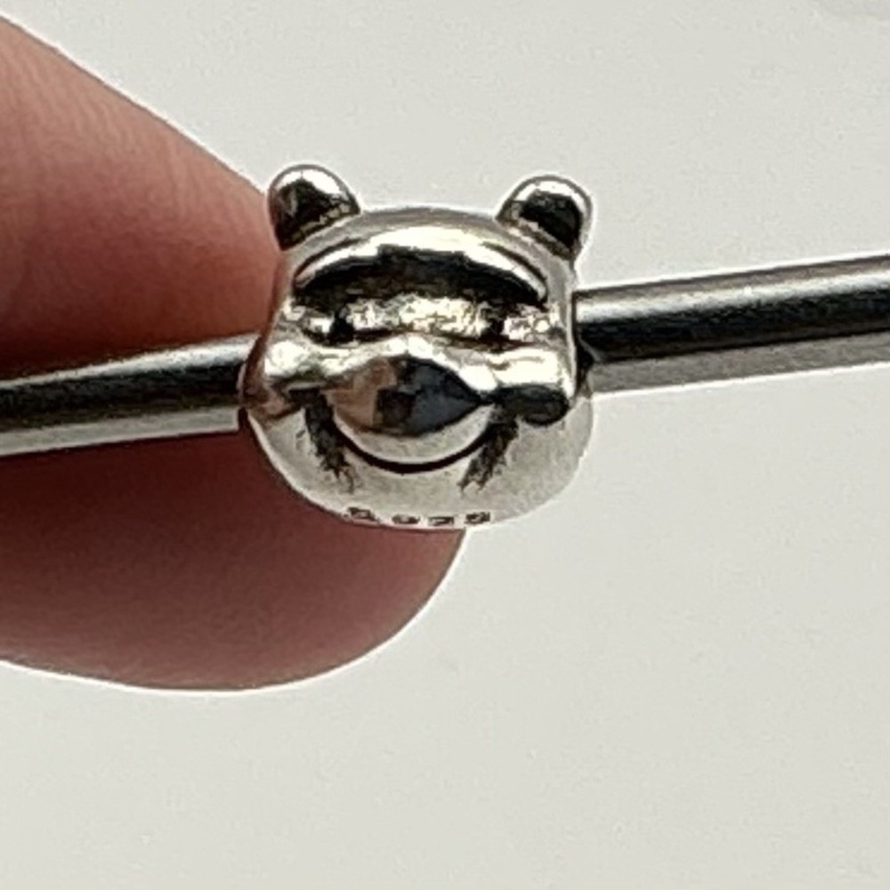 Pandora Disney Winnie The Pooh Portrait Charm ALE 925 Sterling Silver 791566